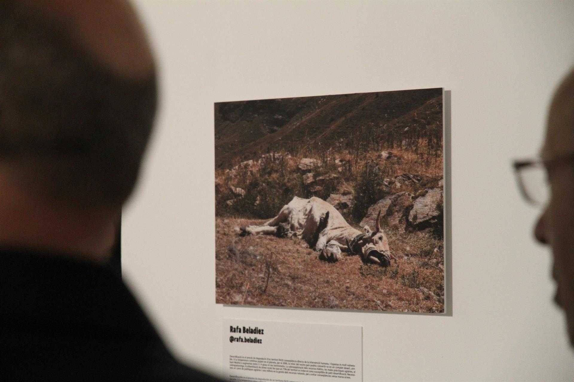La Rambleta acoge una muestra fotográfica que lucha contra el cambio climático 