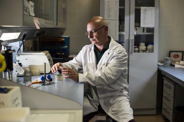 El investigador Francis Mojica (UA) recibirá el Albany, el principal premio de Medicina de EEUU 

