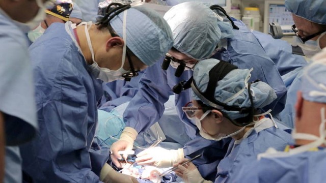 Investigadores reparan corazones inyectando un tejido biodegradable