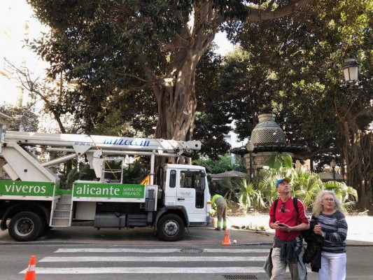Segundo intento: Alicante licita otra vez la contrata millonaria de zonas verdes tumbada por Hacienda