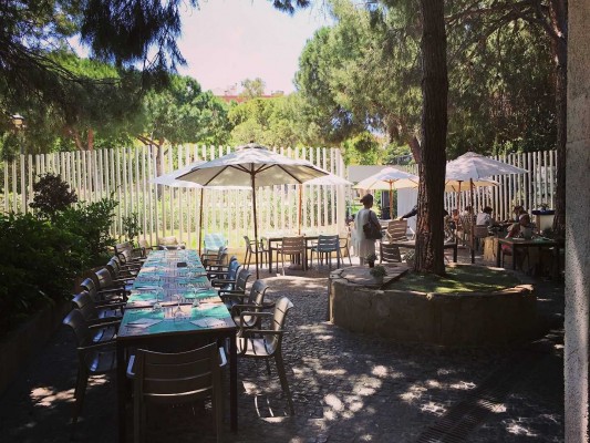Una denuncia paraliza la actividad musical en Jardines del Palau