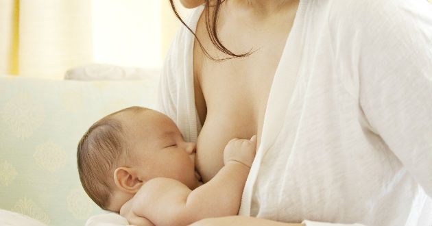 Descubren que la activación de una proteína impide la secreción de leche durante el embarazo