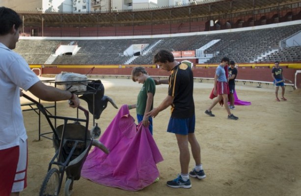 La reversión de las competencias impropias de la Diputación acecha a la escuela taurina