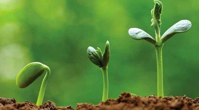 Acciona firma con CaixaBank la primera carta de 'crédito verde' del sistema financiero europeo