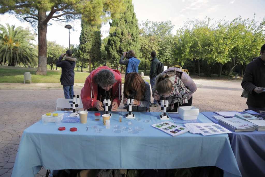 La fiesta sostenible