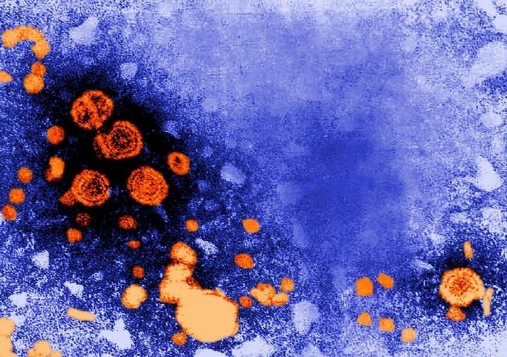 España es el segundo país europeo con más casos de hepatitis B aguda, según el ECDC