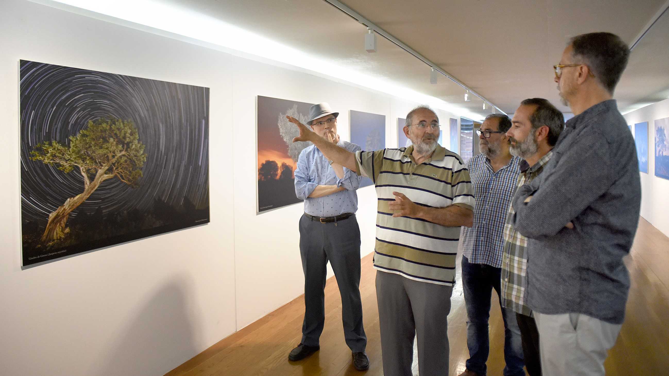 'Quan dormen els arbres': l'amor propi pel territori a través de l'objectiu de Lluís Ibáñez