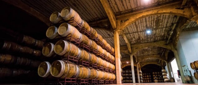Bodegas Vicente Gandía gana 3,4 millones en 2018 y registra una exportación en crecimiento
