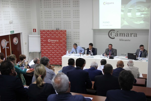 La Cámara estudiará ahora si cubre el cargo que deja vacante Mazón por la Diputación