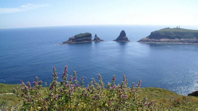 'Integr'arte 2019' reinterpreta les Illes Columbretes a través de la cerámica