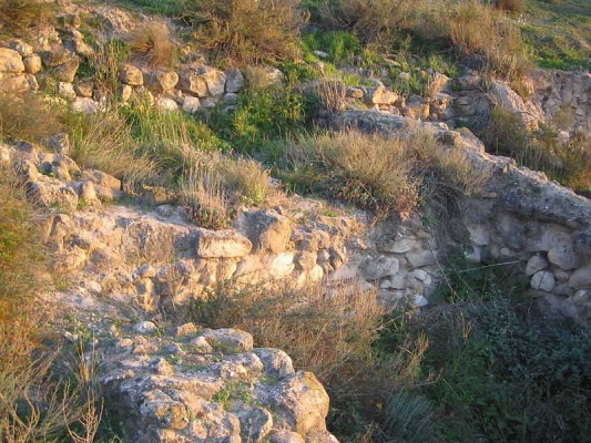 Los Saladares: un yacimiento por excavar en manos de Orihuela