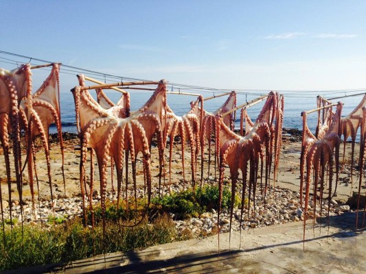 Restaurantes de Dénia para comer cerca del Mediterráneo 