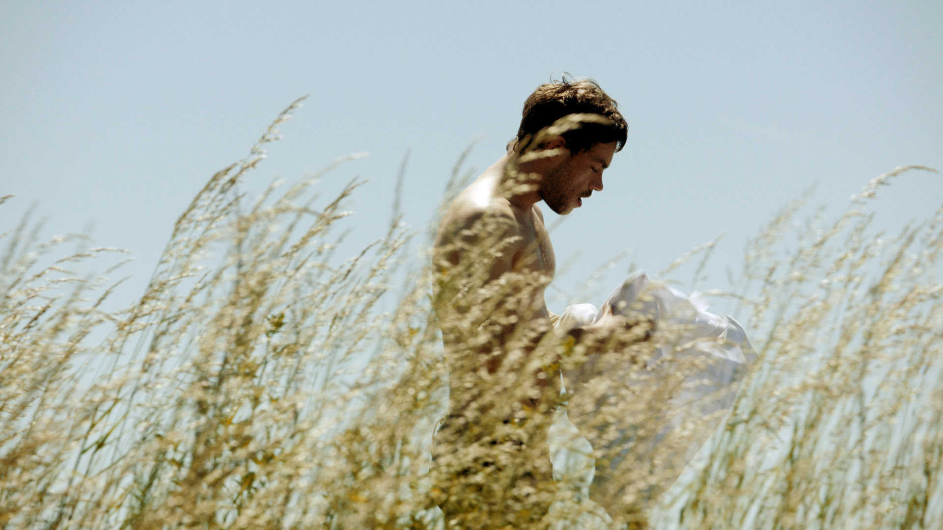 'Sauvage': Sin techo ni ley 