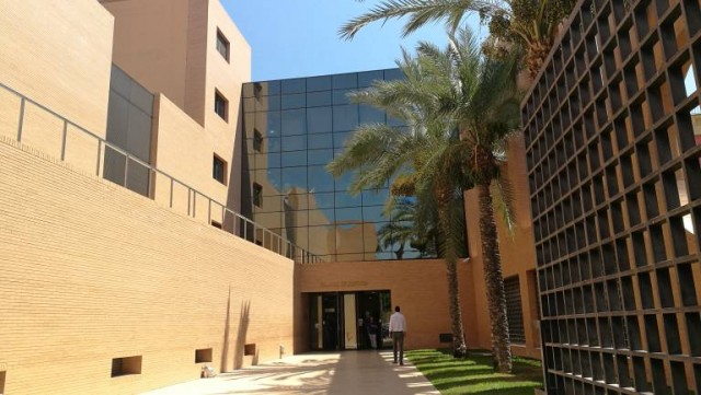 El Consell pide un informe para peritar y reparar humedades en la Sede Judicial de Orihuela
