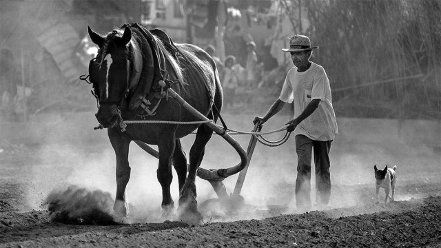 La Filmoteca proyecta los documentales valencianos 'A tornallom' y 'Savis de l'horta' 