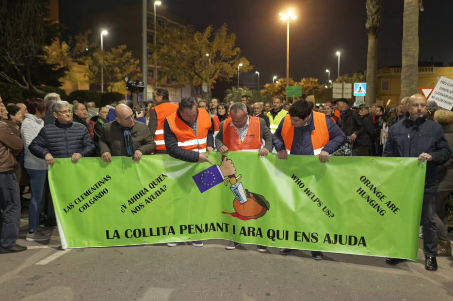 Las ayudas para paliar la desastrosa campaña citrícola dejan fuera a la mayoría de los agricultores