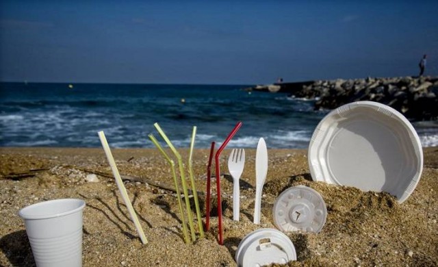 Medio millar de voluntarios limpiarán de plástico las playas de Santa Pola, Alboraya y otras ocho 