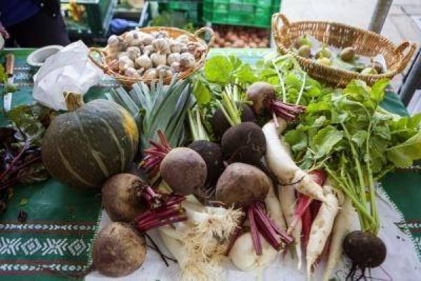El Gobierno prevé mano dura contra el fraude de productos ecológicos