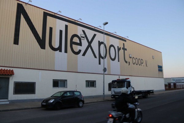 La huida de los principales citricultores complica el futuro de Nulexport