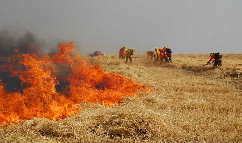 La Generalitat prohíbe las quemas agrícolas de junio a octubre en suelo forestal