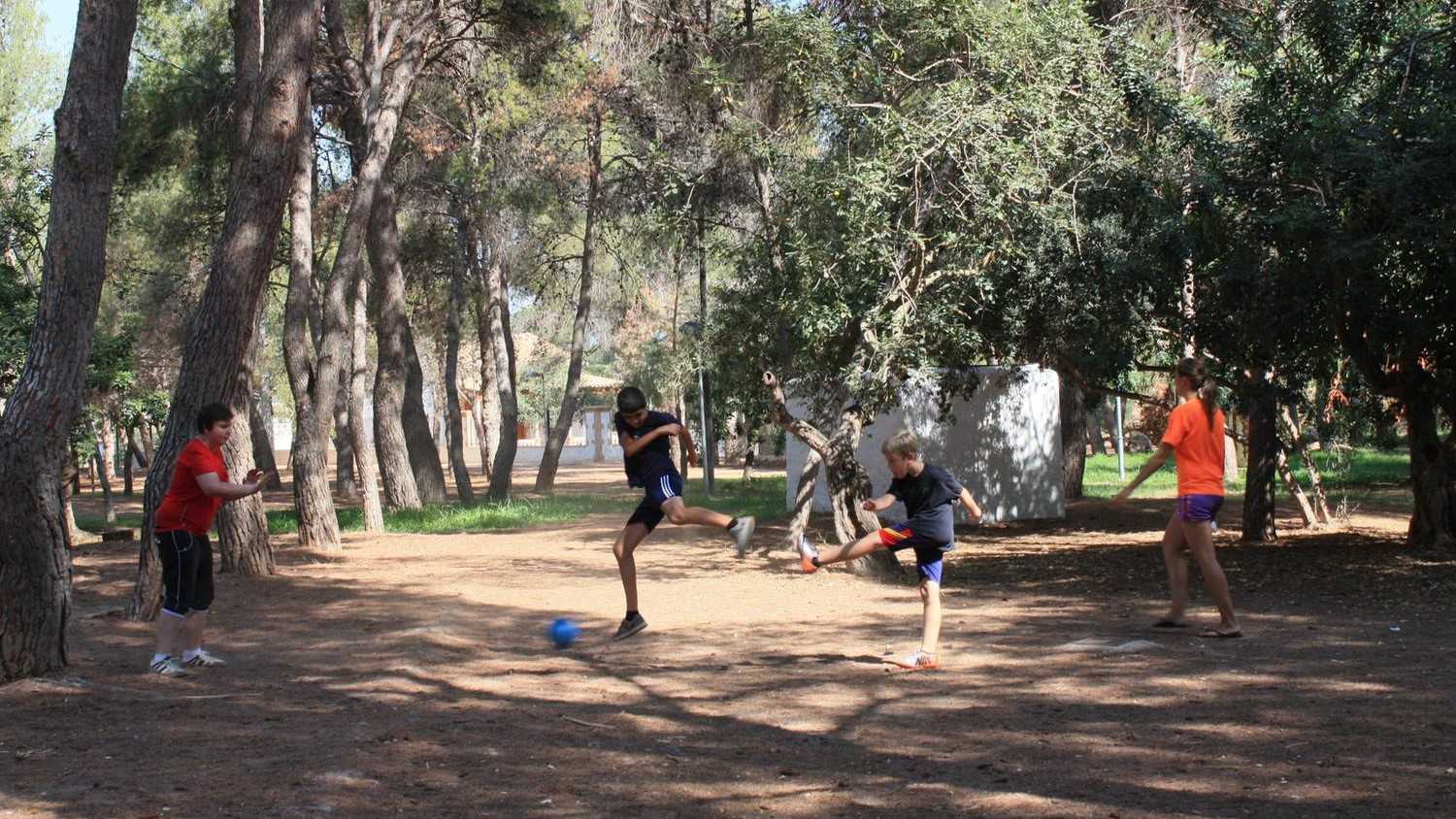 Vila-real oferta 1.570  plazas para practicar deporte con 'l'Escola Esportiva d'Estiu' y 'Estiu Actiu'