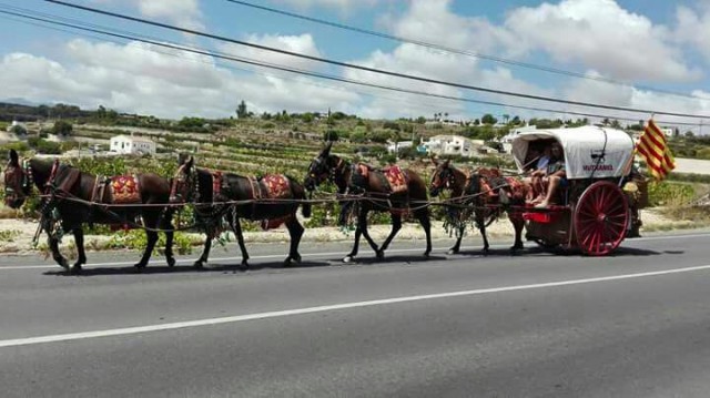 De voltes en carro i ‘animalets’
