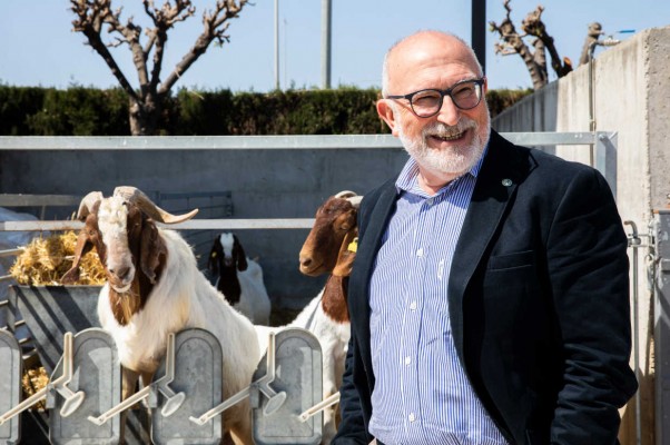 «La administración local está muy poco profesionalizada en aspectos técnicos»