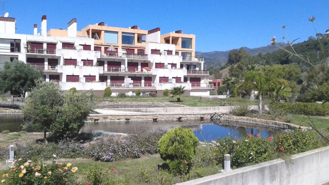 Grupo Cajamar y Haya ponen a la venta en Alicante 100 inmuebles por menos de 65.000 euros

