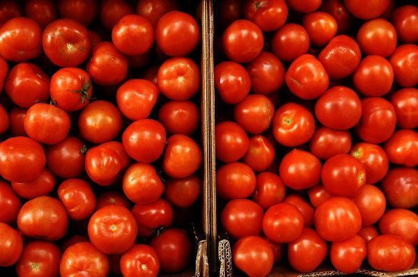 Un solo tomate aporta alrededor del 40% del requerimiento diario de vitamina C, esencial para la piel