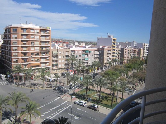 Elx en Peu quiere modernizar la Avenida de la Libertad ampliando espacios y mejorando transporte