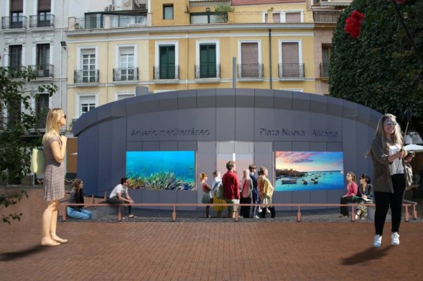 Alicante ensaya los audiovisuales del acuario de la Plaza Nueva a expensas de su reforma