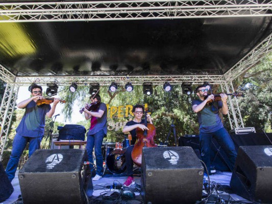 Agenda Culturplaza: Palo Market Fest toma València
