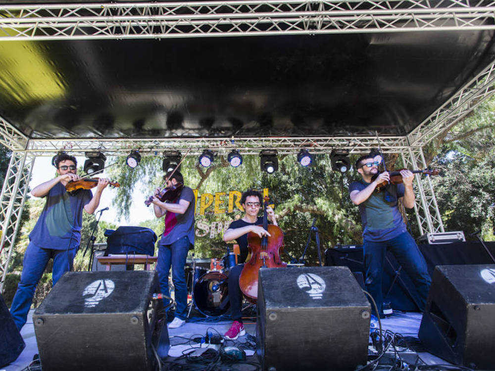 Agenda Culturplaza: Palo Market Fest toma València