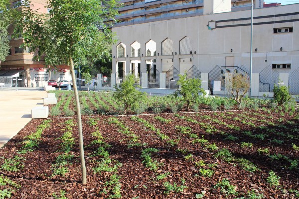 El jardín de la mezquita ya es una realidad