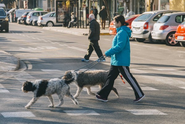 La soledad era un perrito 