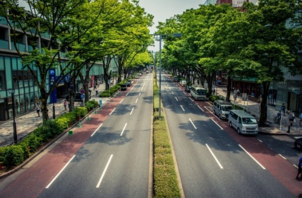 Contigo Elche presenta su proyecto de nueva Avenida de la Libertad: tendrá un coste de 100 millones 