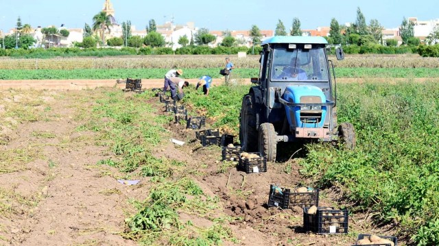 La Unió apela a lo evidente: pide eximir al campo de tener que fichar en la jornada laboral
