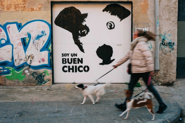 Los retos de València para convertirse en una ciudad ‘pet friendly’