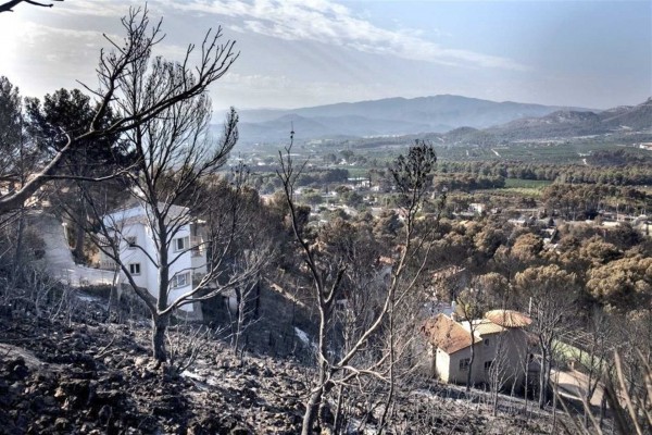 El Consell destina casi un millón en ayudas a los consistorios afectados por el incendio de Llutxent