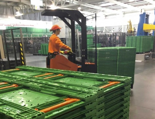 Logifruit incrementa un 9% su facturación en 2018 e invierte 50 millones