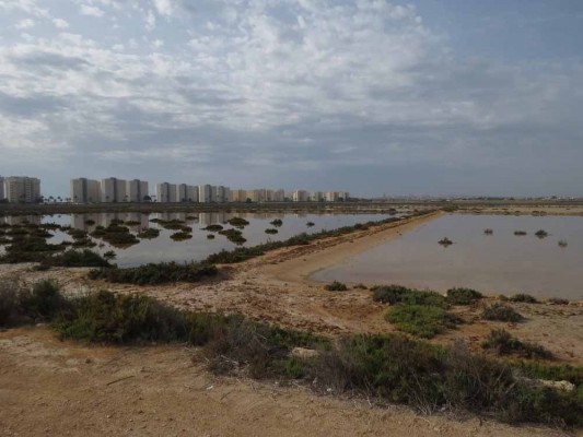 Los ecologistas critican la segunda pista de El Altet: innecesaria e incompatible con el medio ambiente