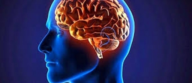 El sentido del tacto aparece en el cerebro antes del nacimiento
