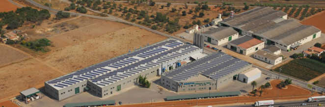 Vistas de las instalaciones de la empresa en el término de Peñíscola. - 