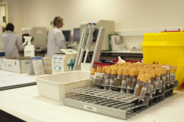 Cerca de un 70% de los científicos considera que los medios informan bien o muy bien sobre sus investigaciones