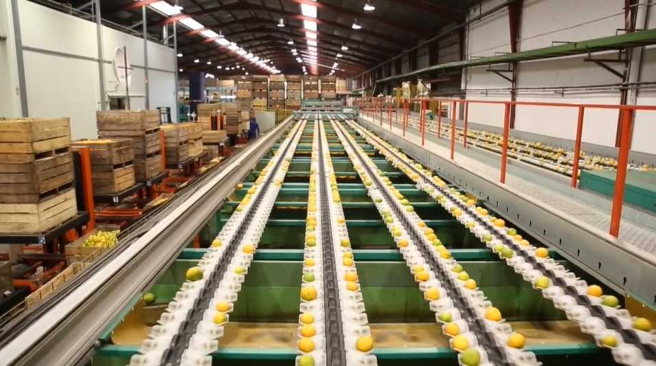 Los rectores de Nulexport ratifican la liquidación a cero y se dan un mes para presentar las cuentas