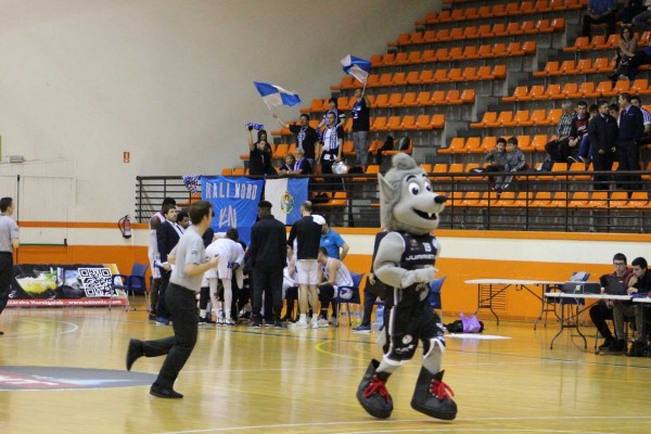 El HLA Alicante se acerca al Oro

