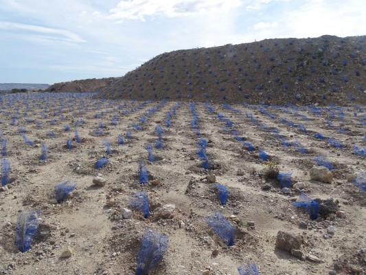 Mármol de Alicante, primera entidad autorizada para restaurar parajes con el residuo de la piedra