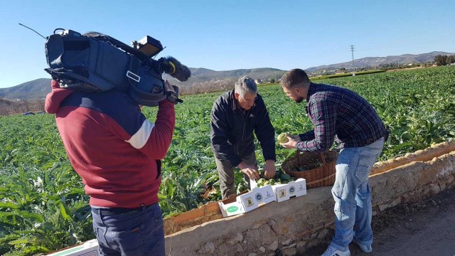La agricultura ecológica despega en el Baix Maestrat, pero no arranca en el resto de Castellón
