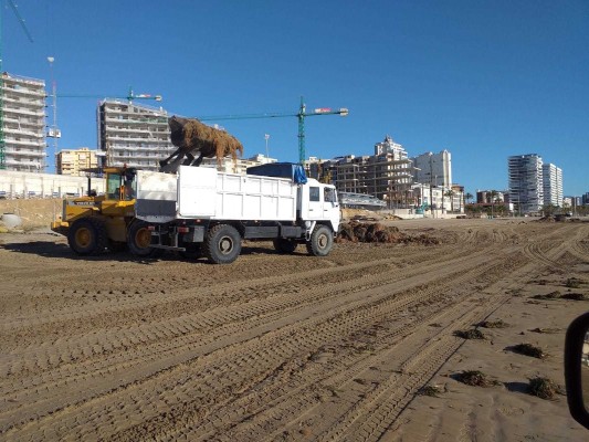 Alicante ultima la puesta a punto de las playas tras el temporal de Semana Santa