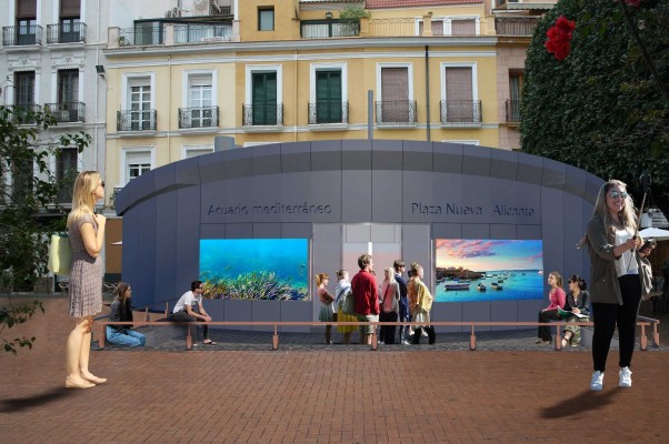 La segunda vida del acuario de la Plaza Nueva: se convertirá en un centro ambiental interactivo